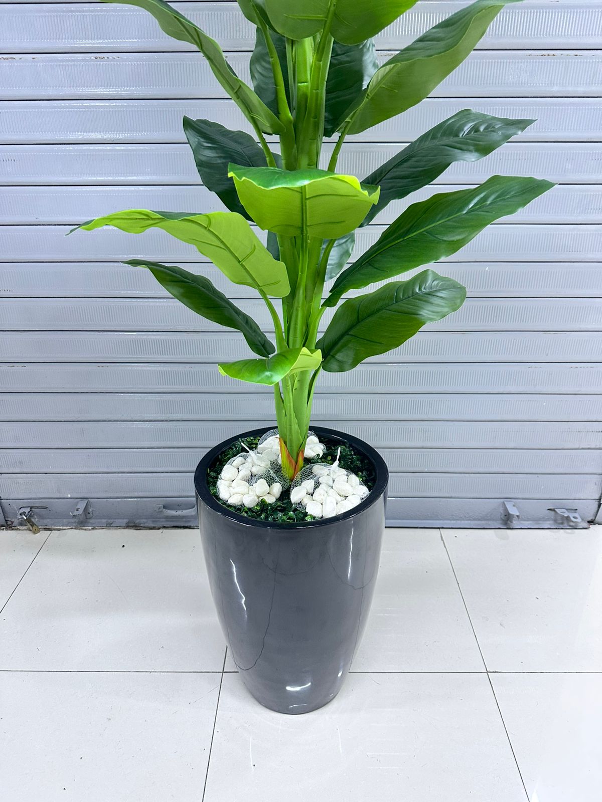 Planta Achira | base de fibra de vidrio | 200cm